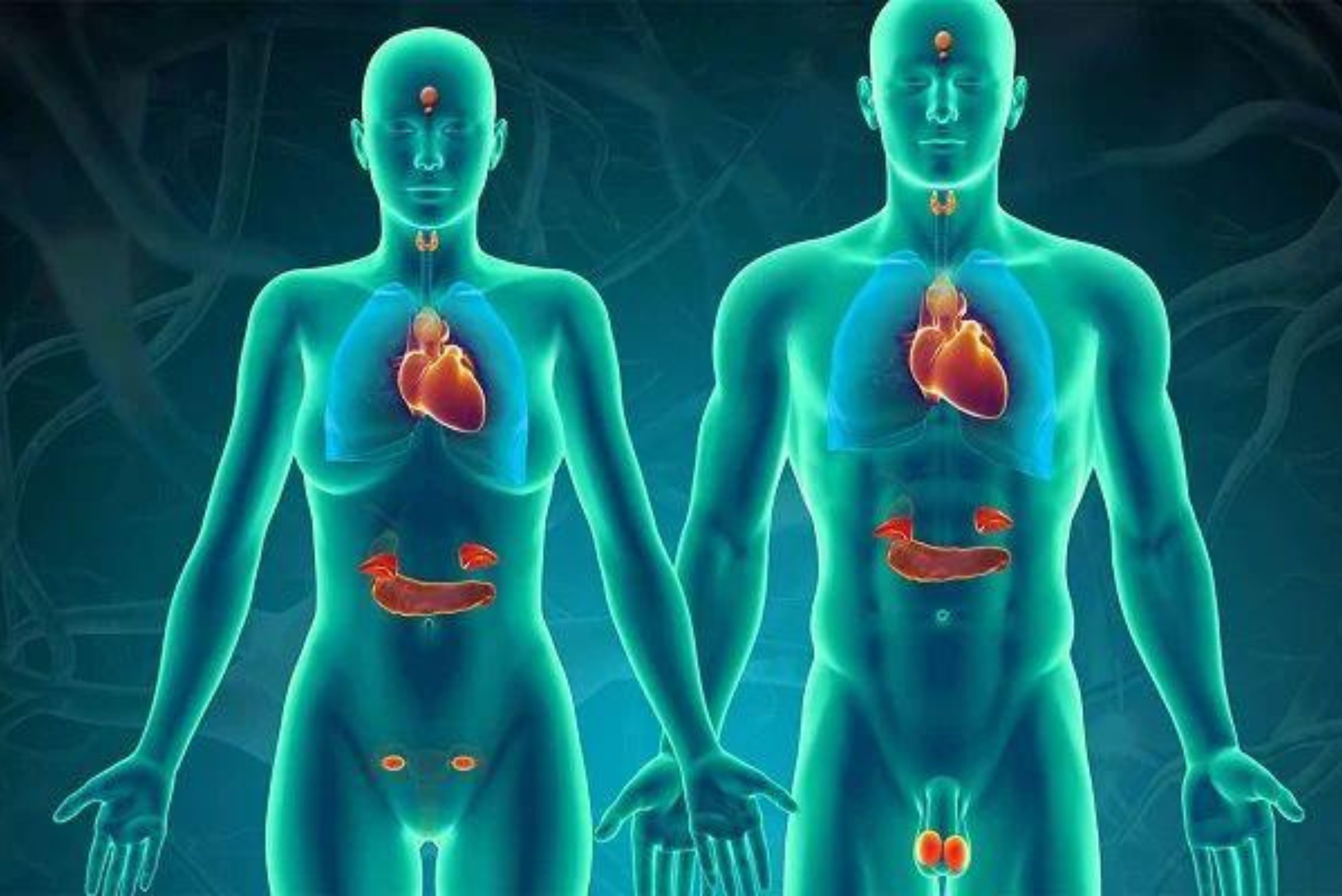 Tus hormonas hablan a través de tu boca